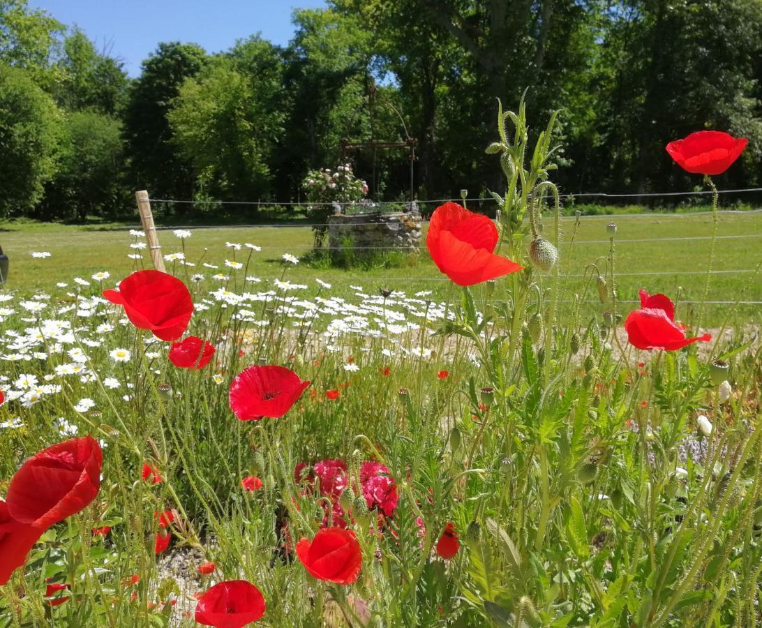Chateau De Courmelois Champagne Guest House Val de Vesle Экстерьер фото